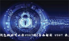  只有钱包地址可以收USDT吗？全面解析 USDT 收款方