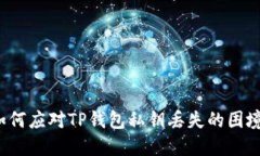 如何应对TP钱包私钥丢失的困境？