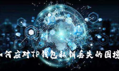 如何应对TP钱包私钥丢失的困境？