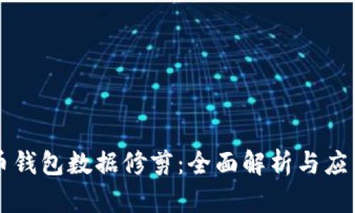 比特币钱包数据修剪：全面解析与应用指南