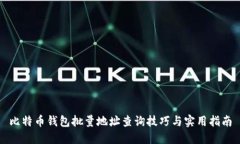 比特币钱包批量地址查询技巧与实用指南
