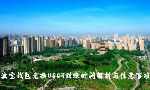 波宝钱包兑换USDT到账时间解析与注意事项
