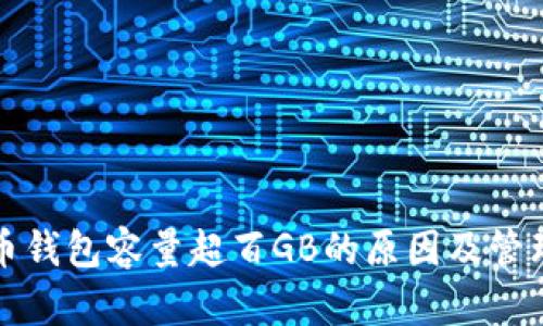 比特币钱包容量超百GB的原因及管理技巧