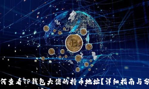   
如何查看TP钱包大佬的持币地址？详细指南与分析