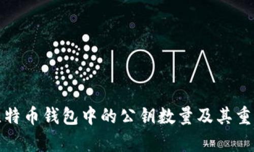 : 揭秘比特币钱包中的公钥数量及其重要性分析