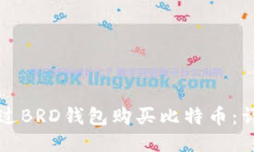 如何通过BRD钱包购买比特币：详细指南
