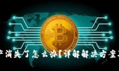 TP钱包里的资产消失了怎么办？详解解决方案及资