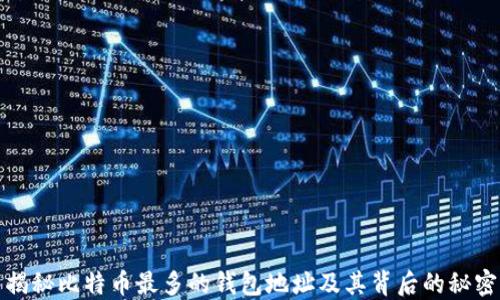 
揭秘比特币最多的钱包地址及其背后的秘密