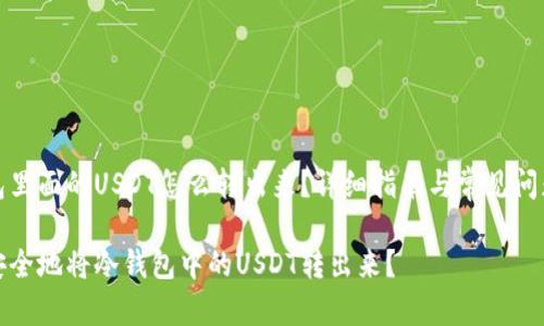 冷钱包里面的USDT怎么转出来？详细指南与常见问题解答

如何安全地将冷钱包中的USDT转出来？